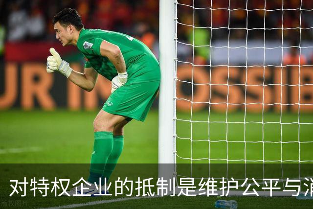 对特权企业的抵制是维护公平与消费者利益的必要举措